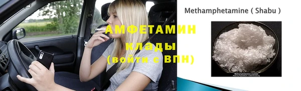 крисы Богородицк