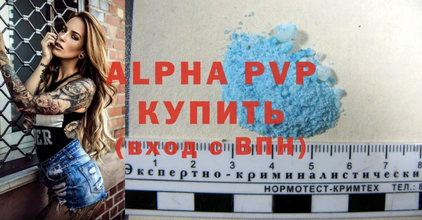 крисы Богородицк