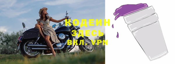 крисы Богородицк