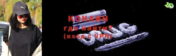 крисы Богородицк