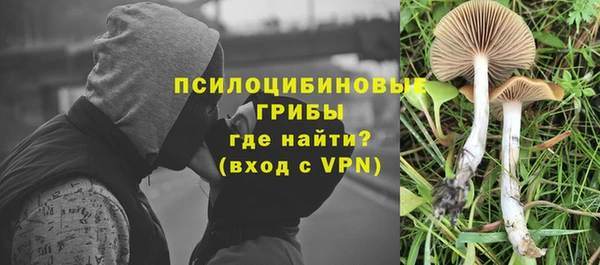 амф Богородск