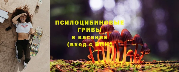 амф Богородск