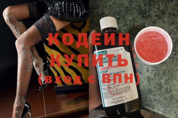 крисы Богородицк