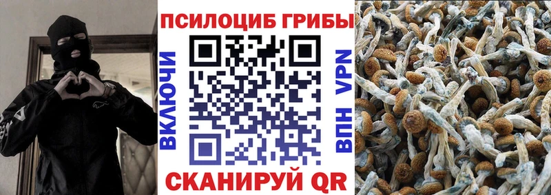Купить закладки  Ильский  Галлюциногенные грибы Magic Shrooms 